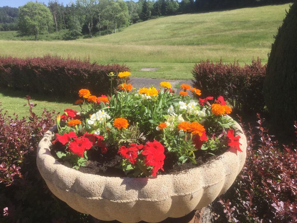 Logis Hotel Le Relais Du Bois Vialotte لا شامبون-سر-لينغون المظهر الخارجي الصورة